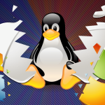 Windows vs Linux: Which One do I Need?
