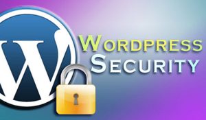 Simple Steps to Increase Security and Protect A WordPress Blog from Hacker