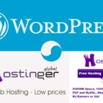 Review Of Hostinger-A WordPress Host