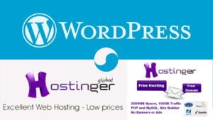 Review Of Hostinger-A WordPress Host