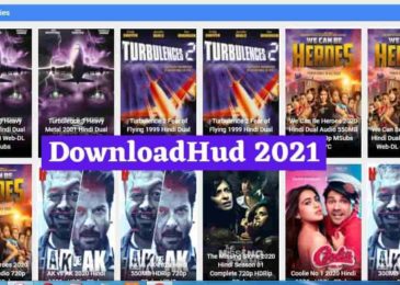 Downloadhub 2021 – How to Access DownloadHub?