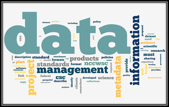 COVID-19 Is Changing Data Management in Modern Businesses